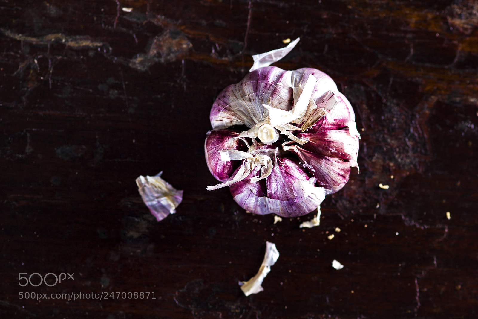 Canon EOS 550D (EOS Rebel T2i / EOS Kiss X4) sample photo. Garlic photography