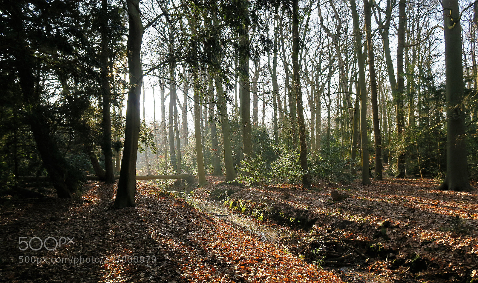 Canon PowerShot G7 X sample photo. Img photography