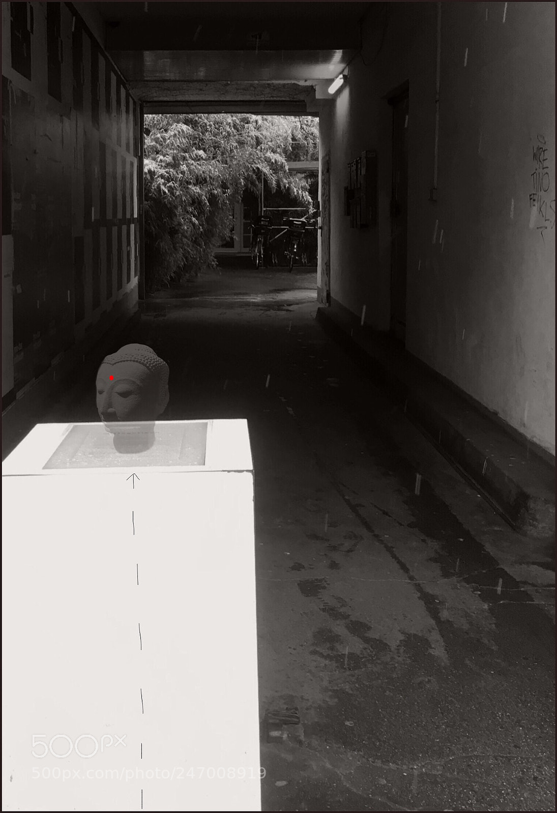 Apple iPhone 6s sample photo. Not local images 2018 photography
