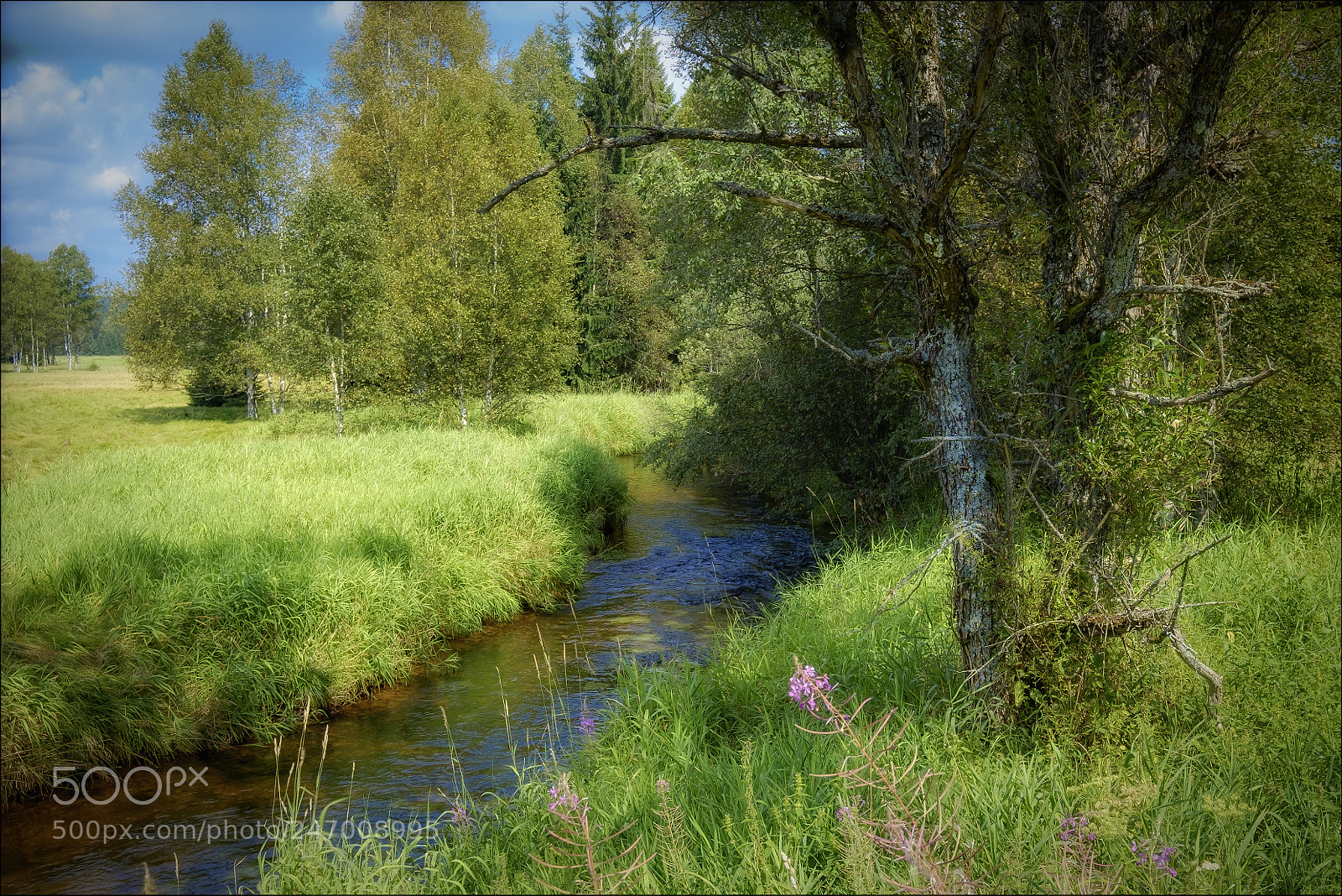 Fujifilm X-T1 sample photo. At the creek photography