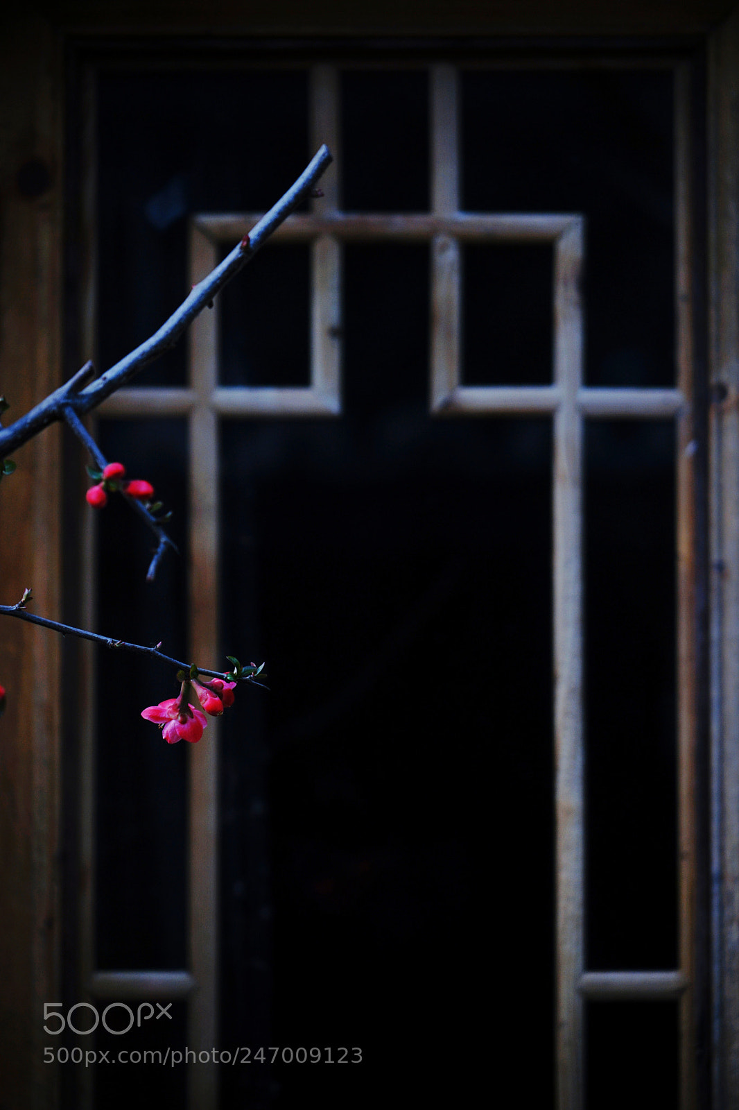 Sony a7 II sample photo. Untitled photography