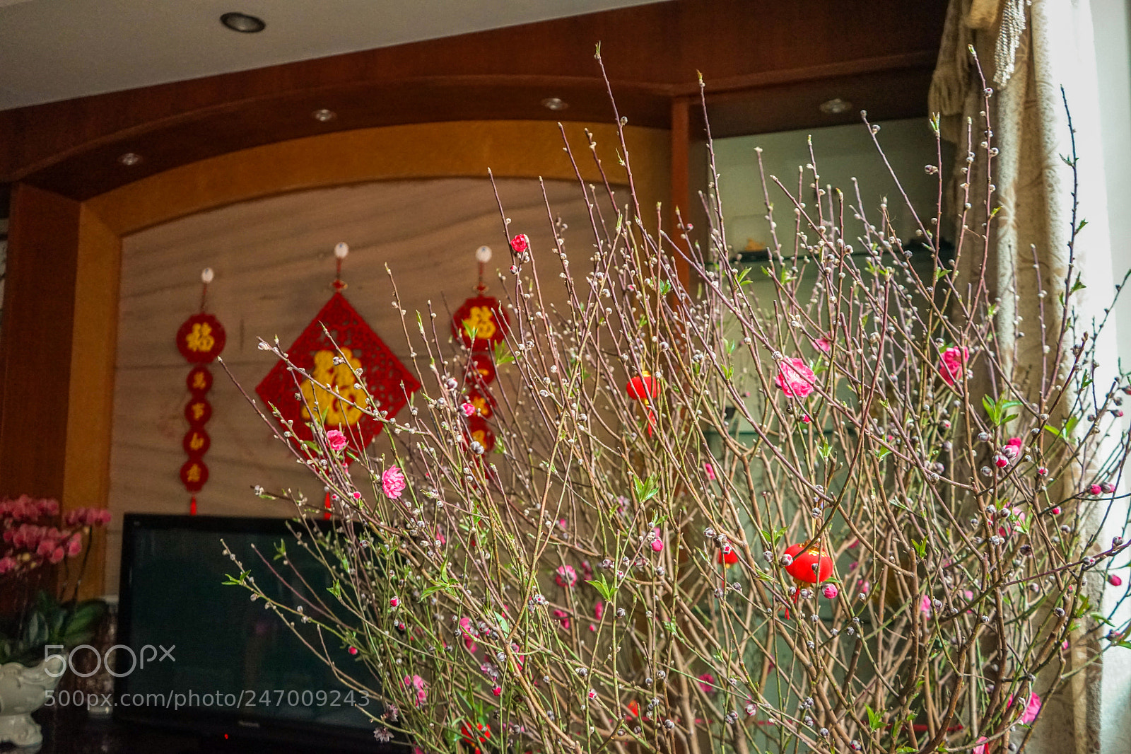 Sony a7 sample photo. Dsc photography
