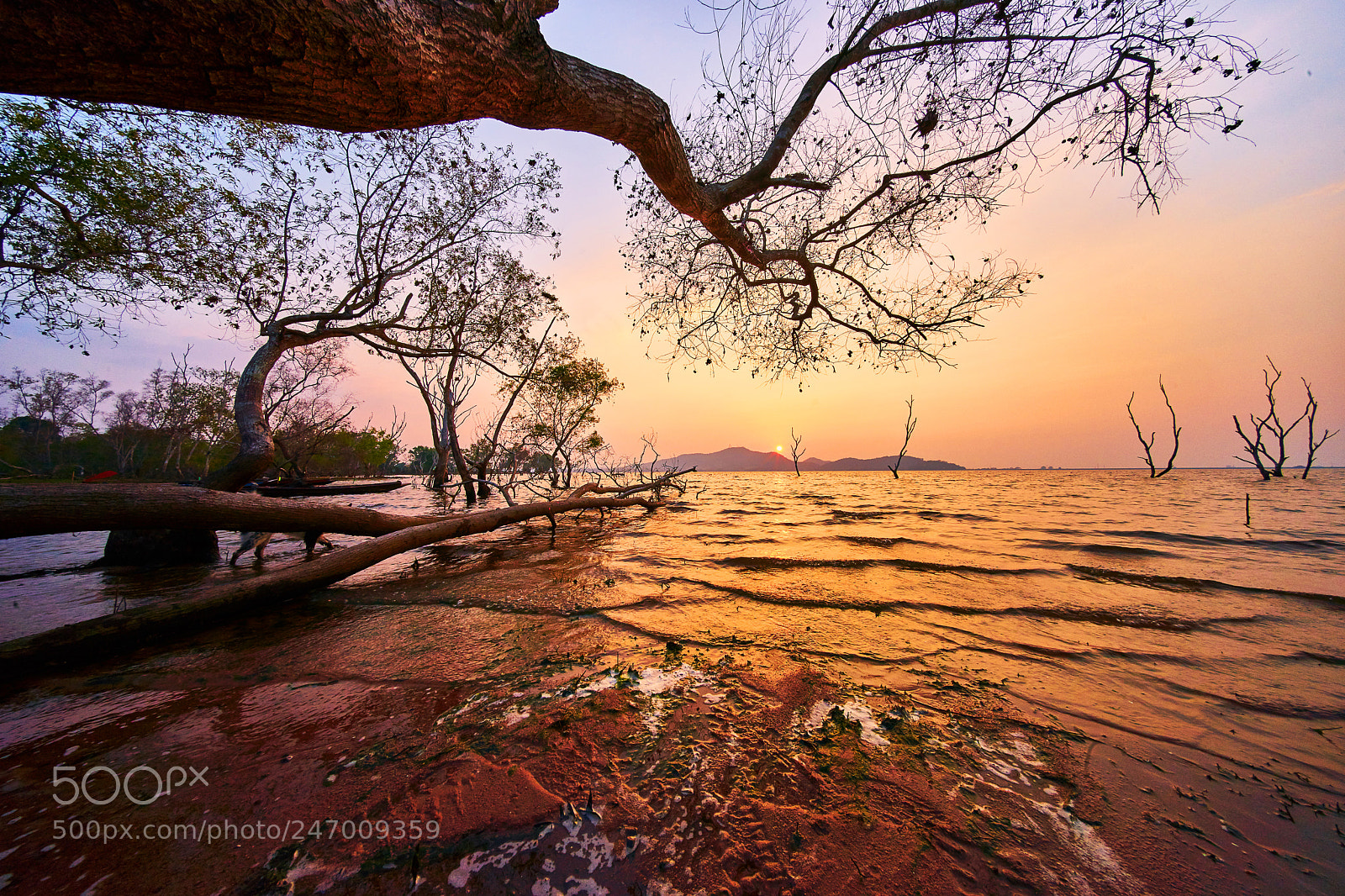 Sony a7 II sample photo. Bangphar reservoir in the photography