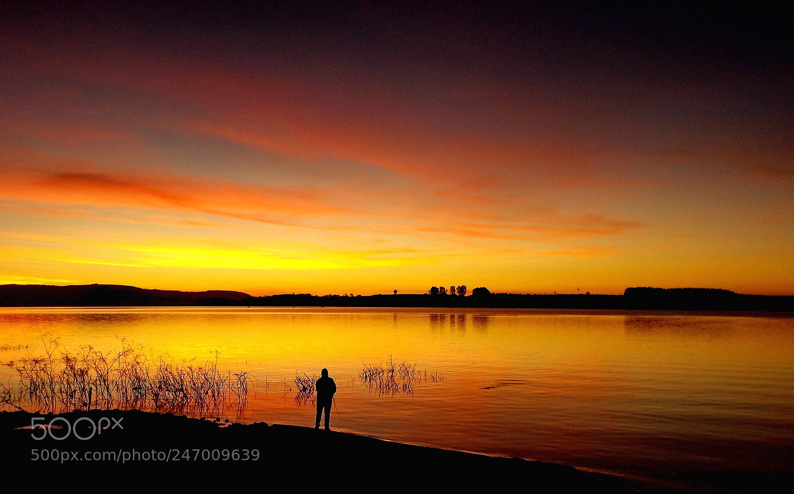 Nikon Coolpix L810 sample photo. Sunset at grande river photography