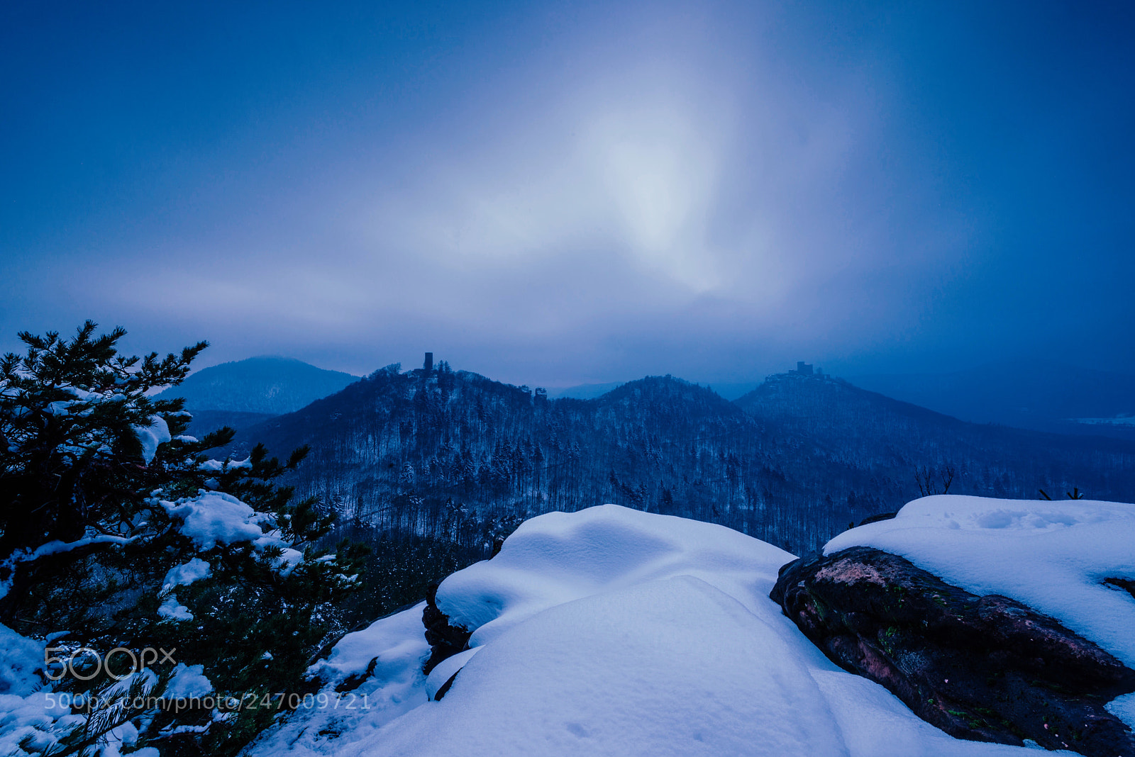 Nikon D610 sample photo. Palatinate forest in winter. photography