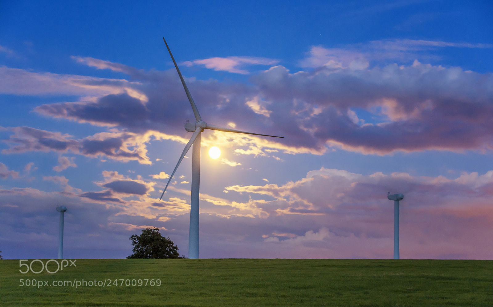 Nikon D7100 sample photo. Power & nature photography