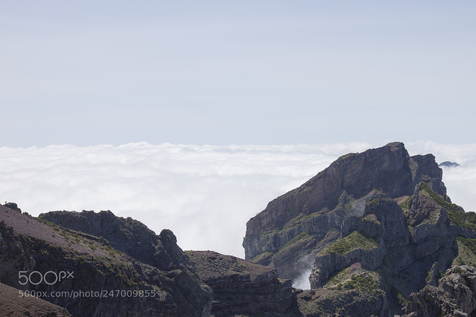 Canon EOS 500D (EOS Rebel T1i / EOS Kiss X3) sample photo. Above the clouds photography