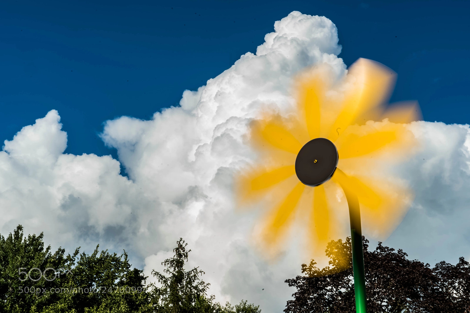 Sony a9 sample photo. In the wind photography