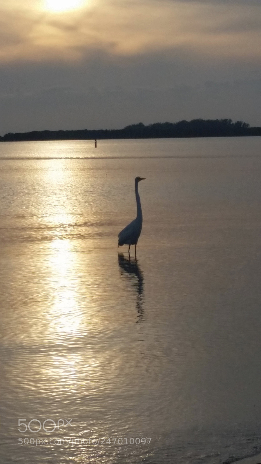 Samsung Galaxy S5 sample photo. Untitled photography