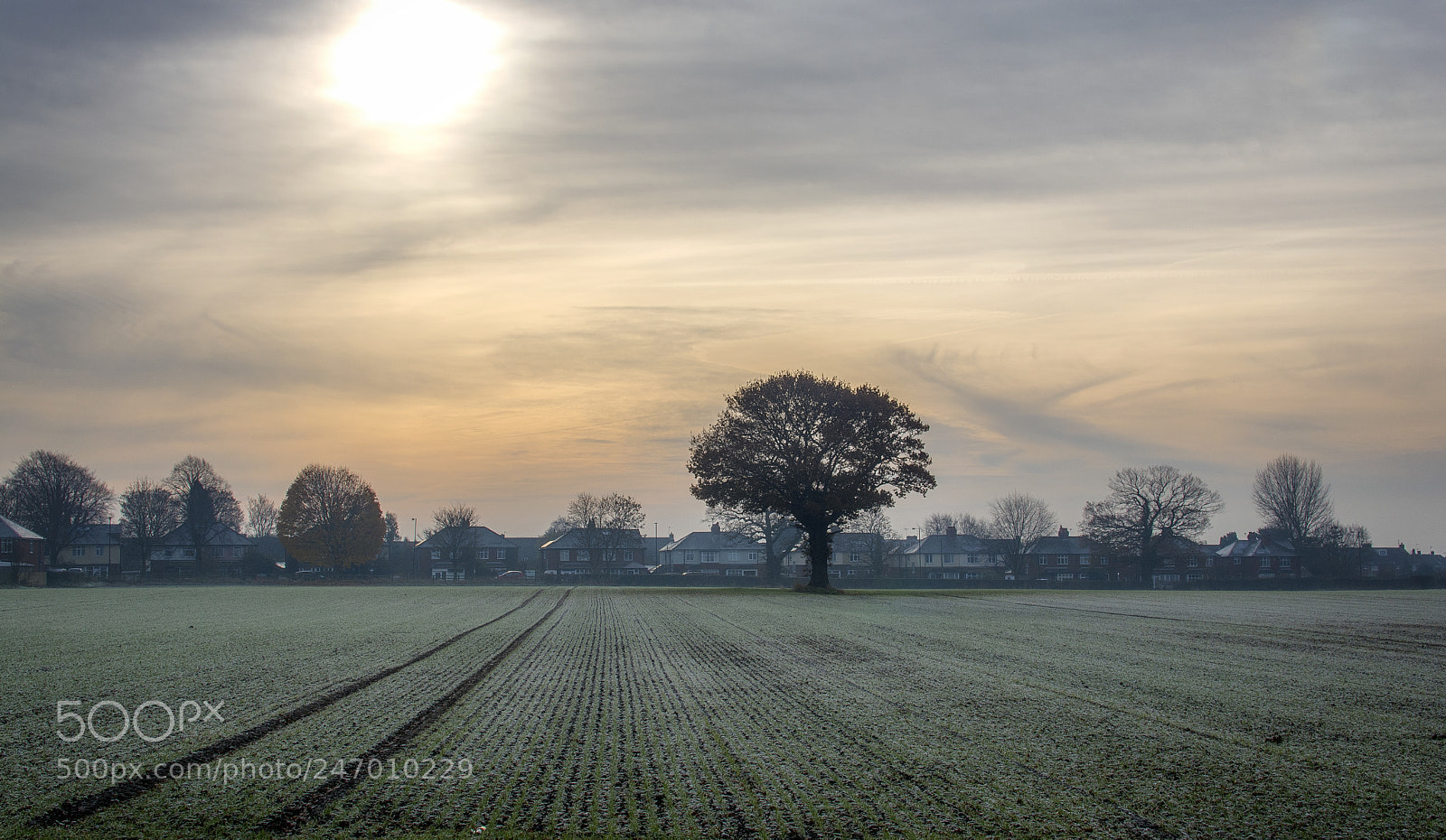 Nikon D7100 sample photo. Frosty morning photography
