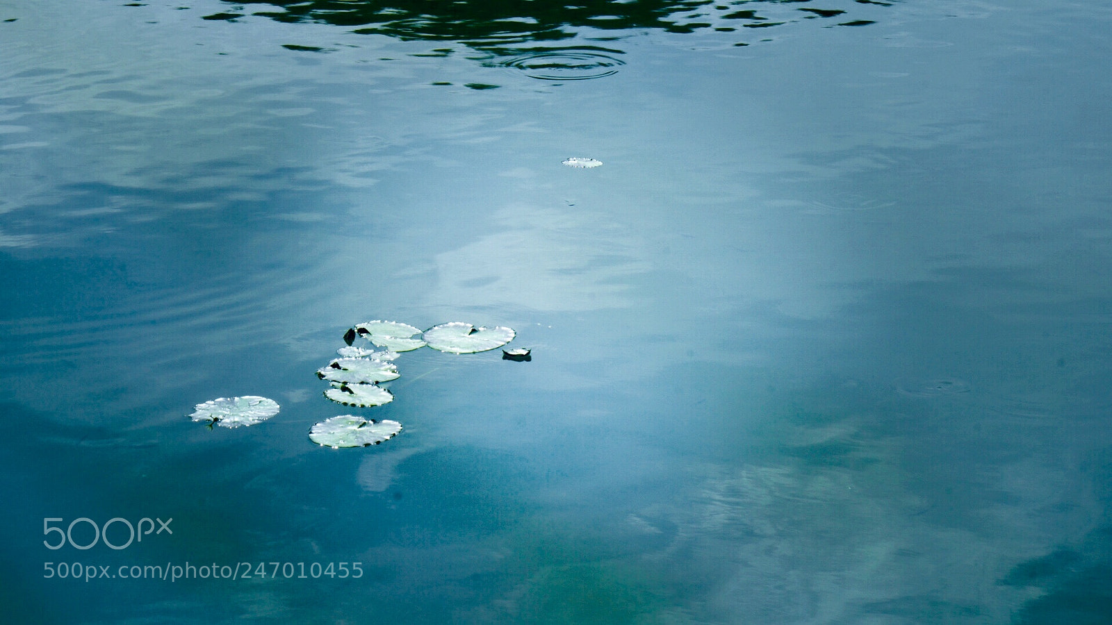 Sony Alpha NEX-7 sample photo. Untitled photography