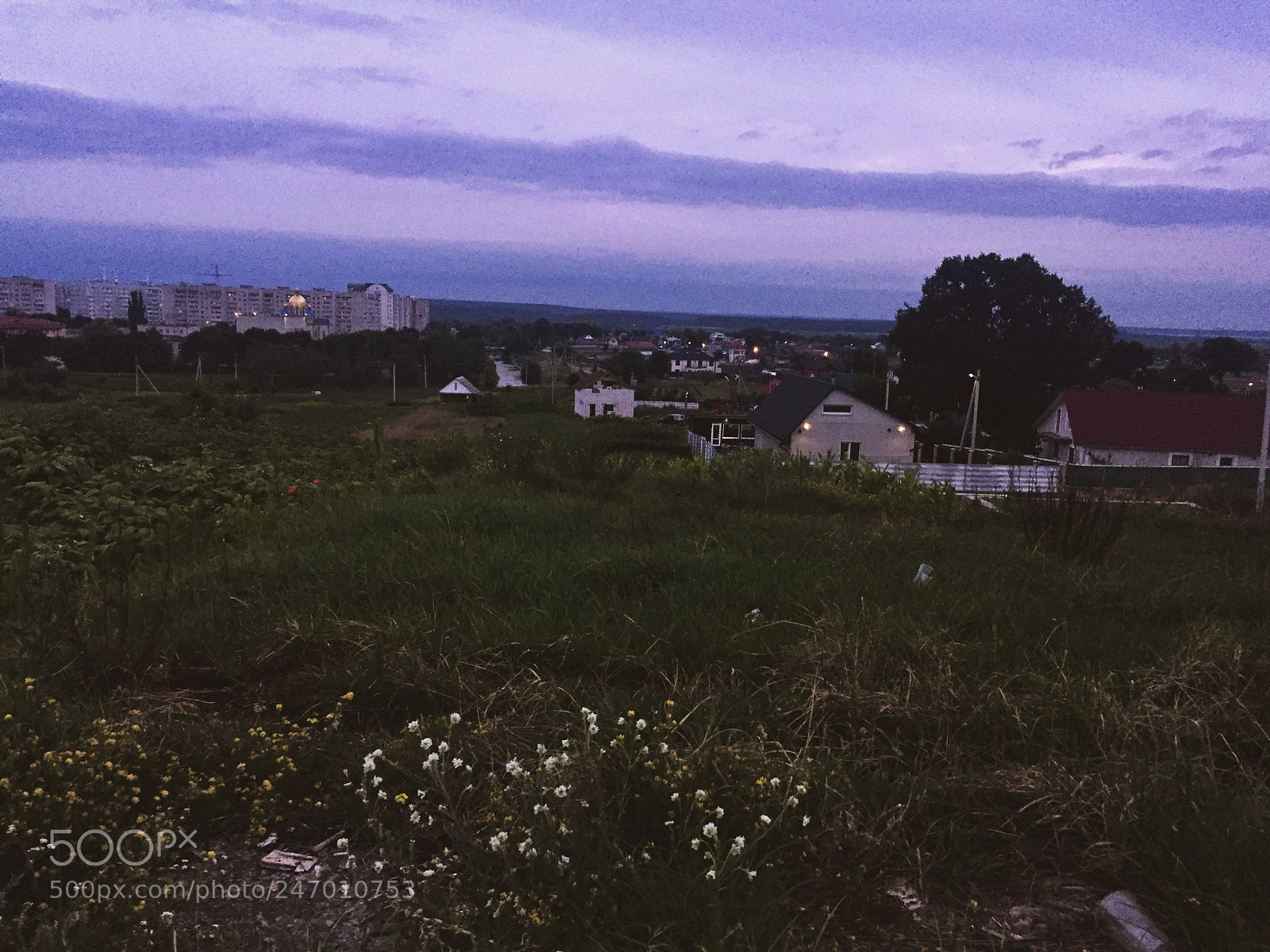 Apple iPhone 6 sample photo. Untitled photography