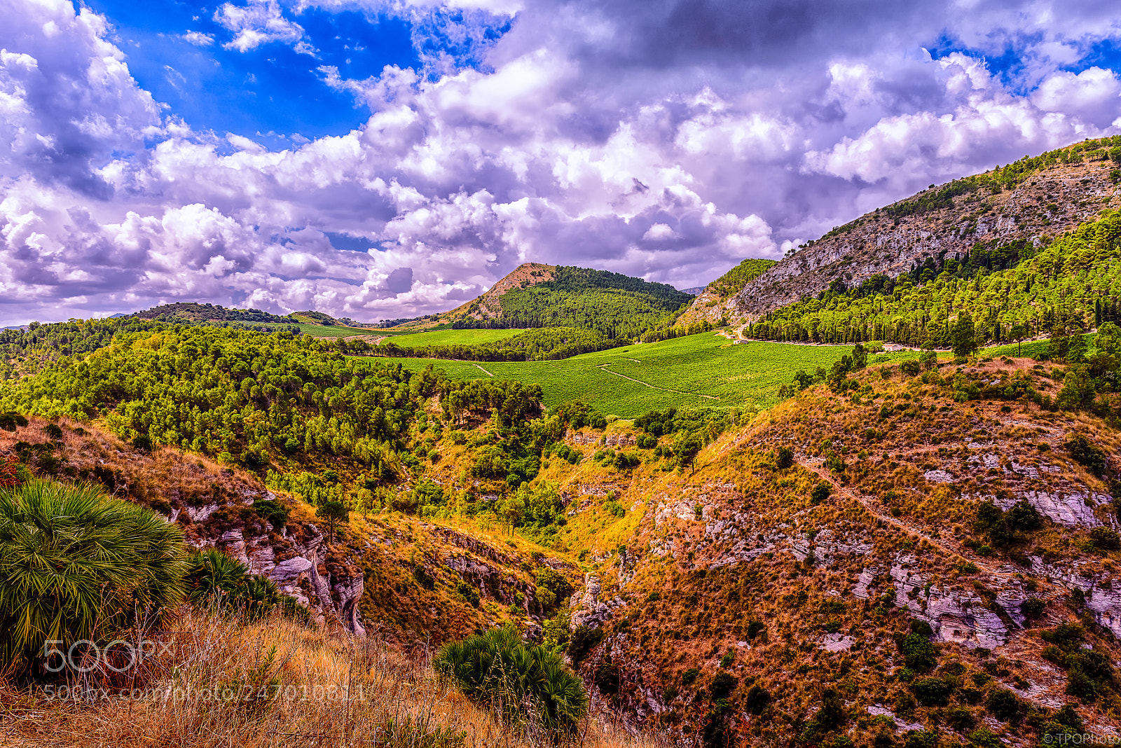 Nikon D800 sample photo. Vista desde segesta view photography