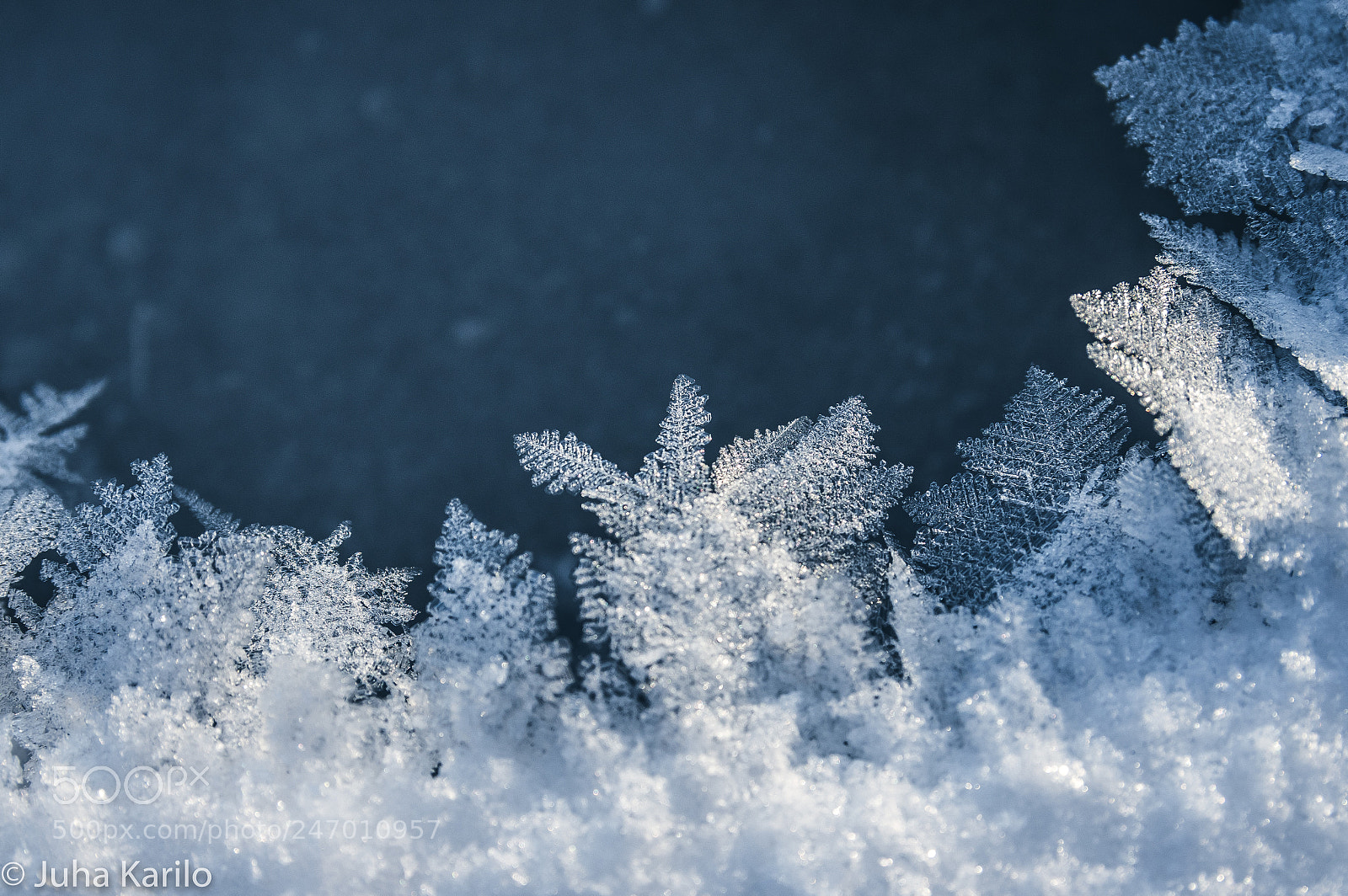 Pentax K-3 sample photo. Snowimgg photography