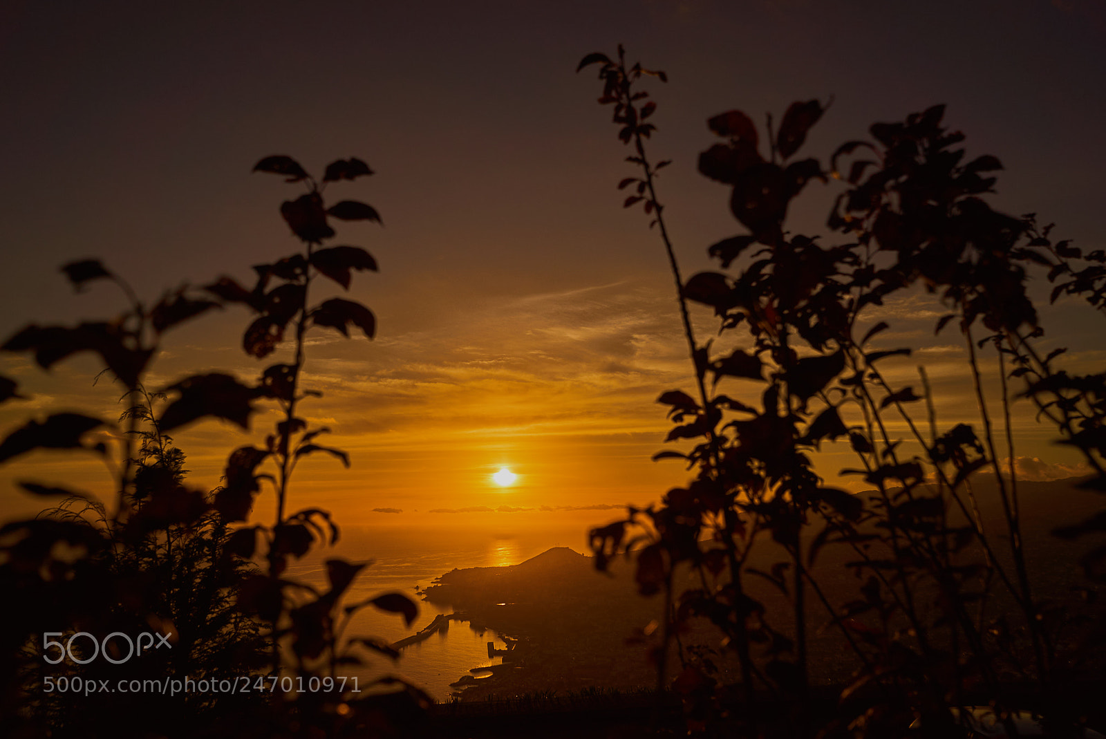 Sony a7S II sample photo. Madeira island sunset 1 photography