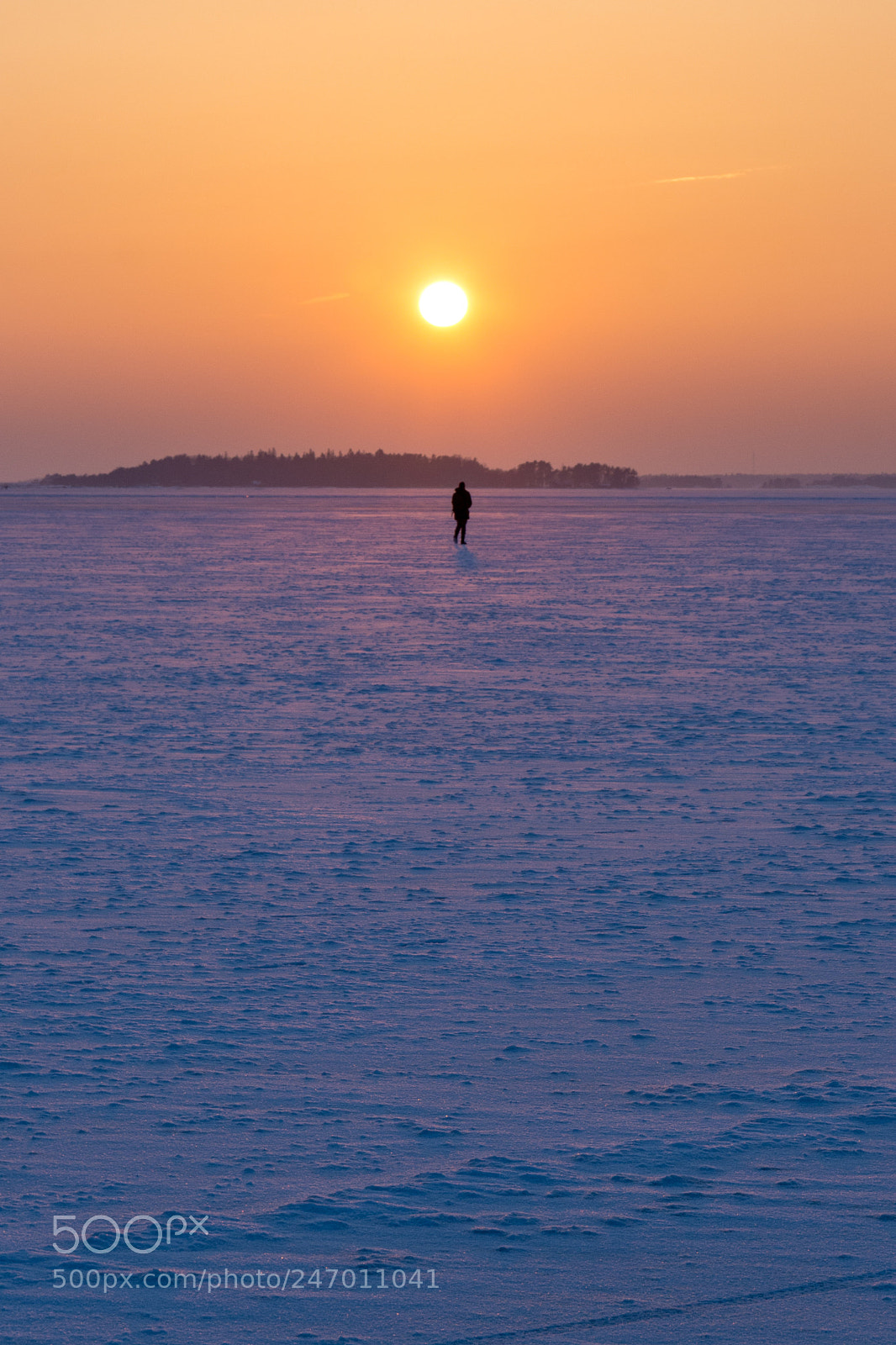 Nikon D7200 sample photo. Sunset admirer photography