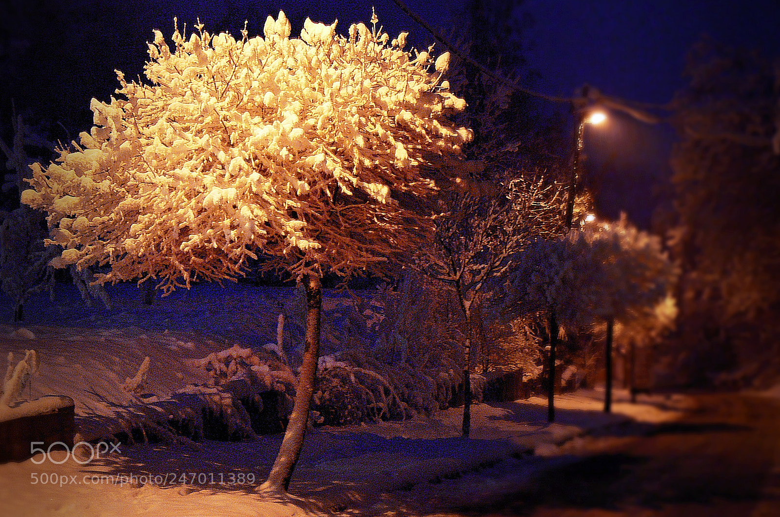 Panasonic DMC-FZ30 sample photo. Winter lights 1. photography