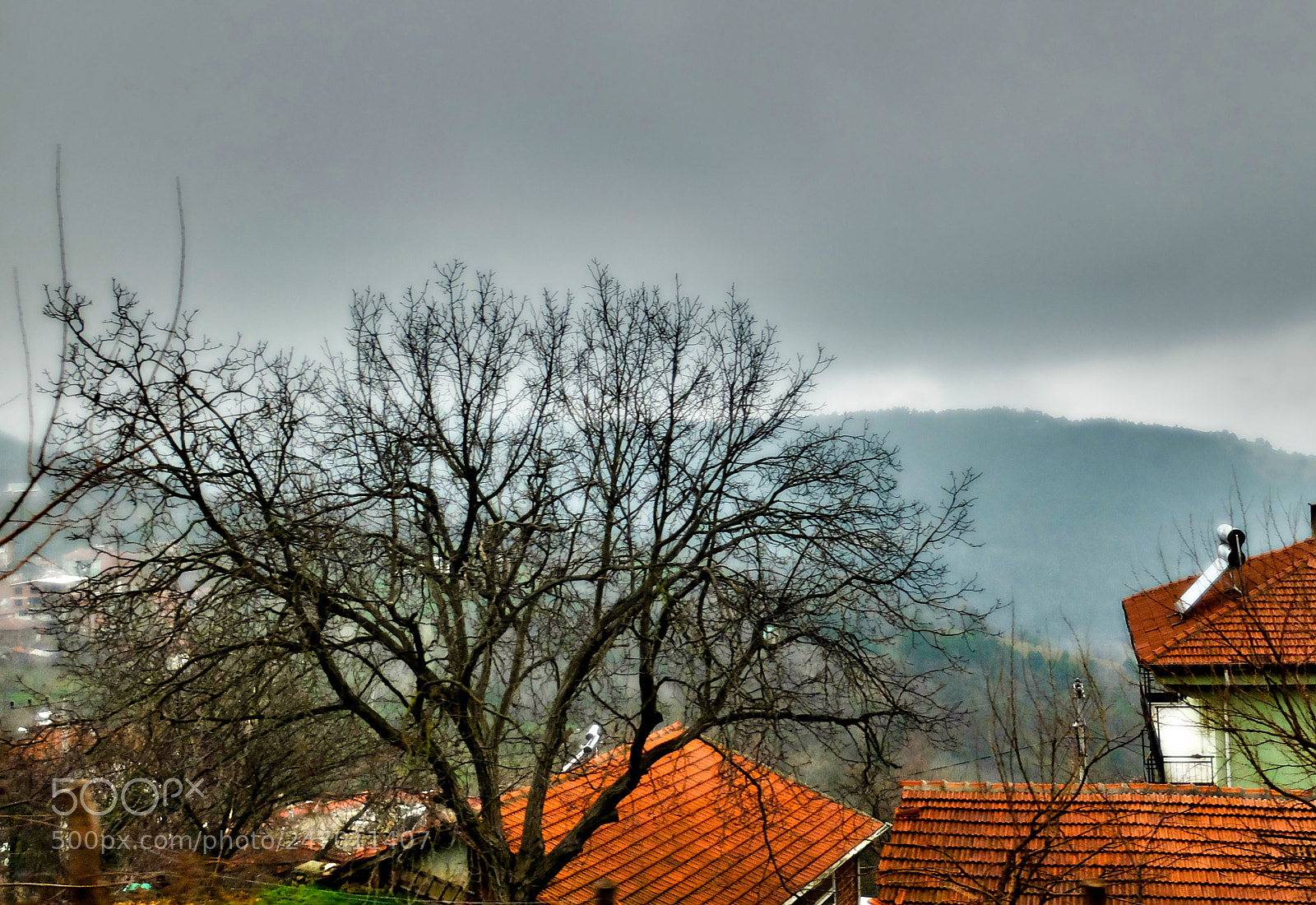 Fujifilm X20 sample photo. Tree and roofs photography