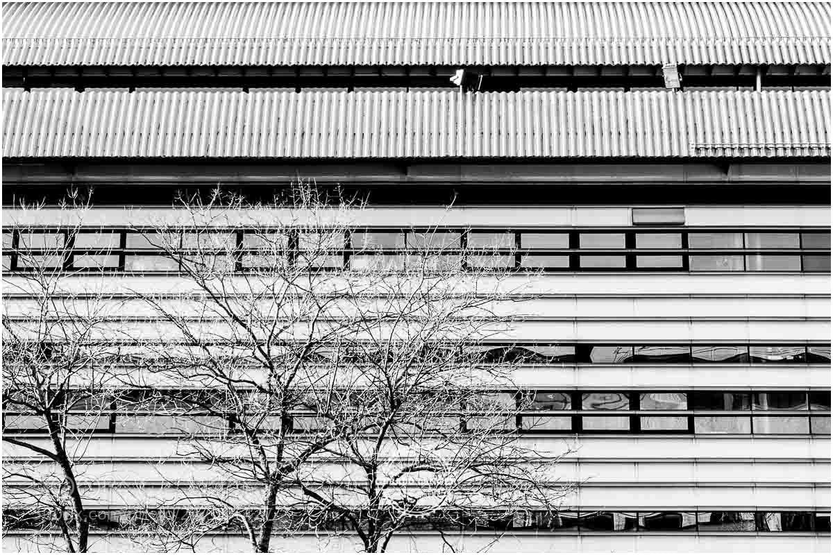 Canon EOS M5 sample photo. Tu mÜnchen photography
