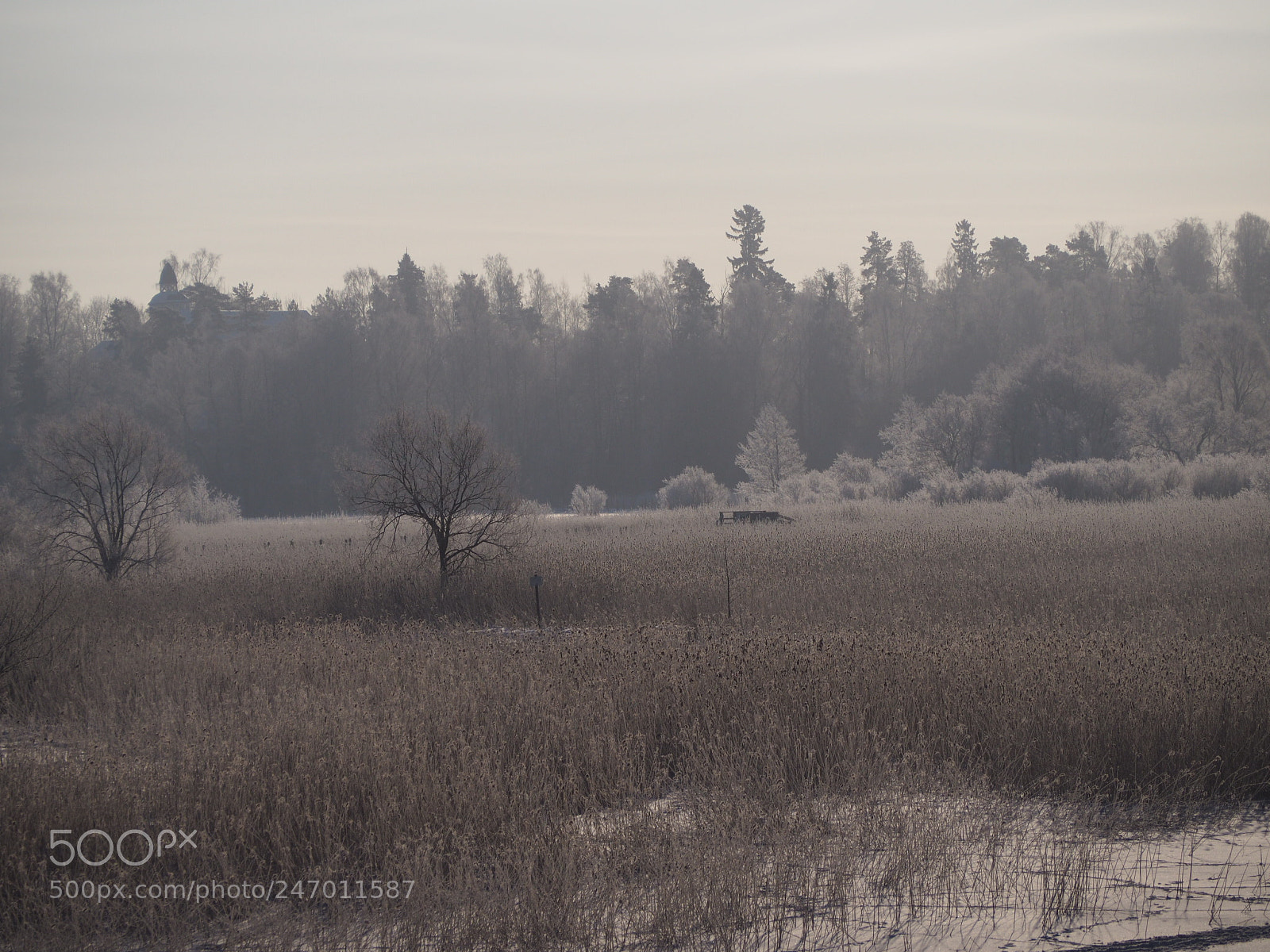 Olympus OM-D E-M10 II sample photo. Cold winter day photography