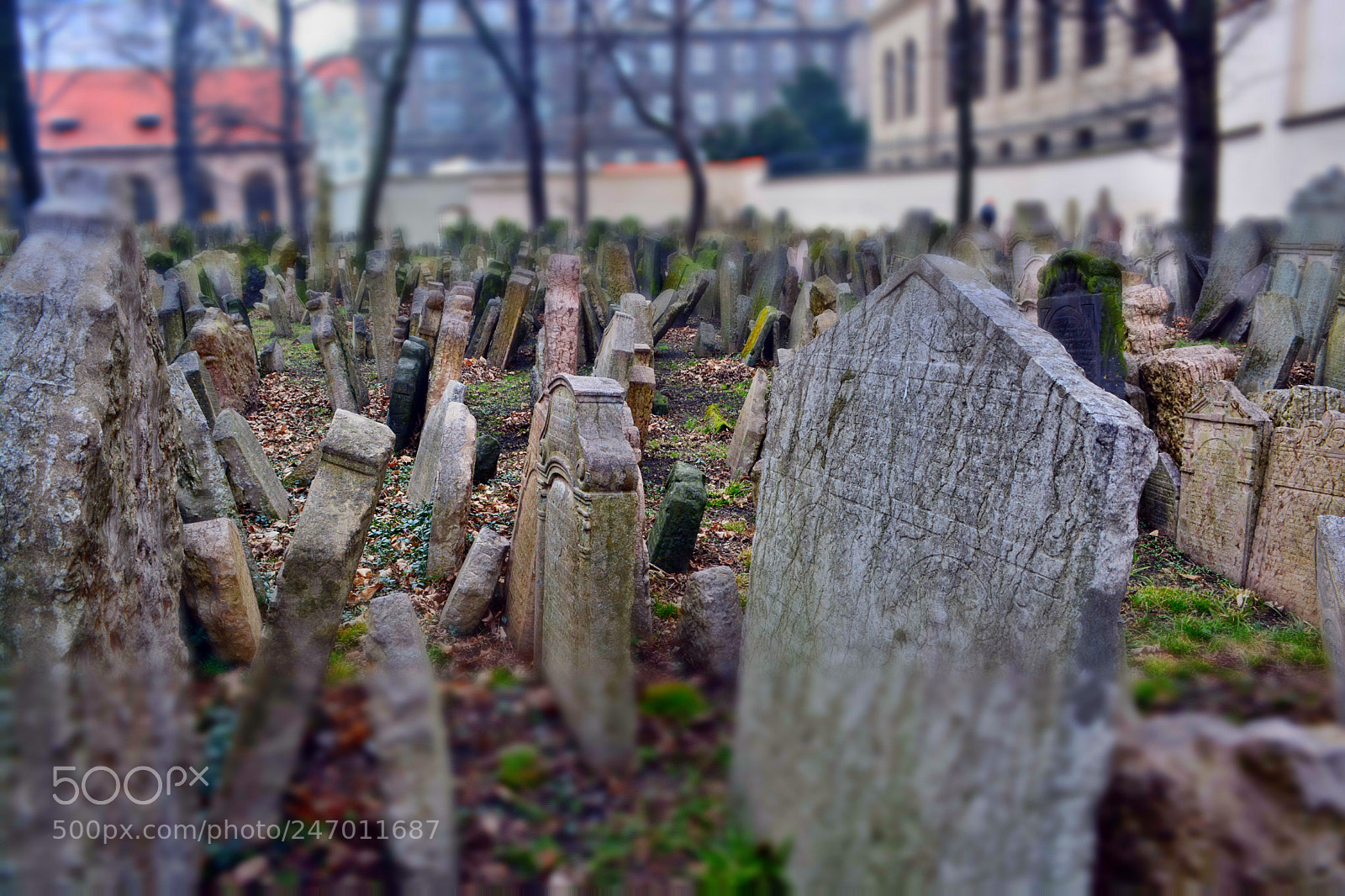 Nikon D5200 sample photo. Jüdischer friedhof prag photography