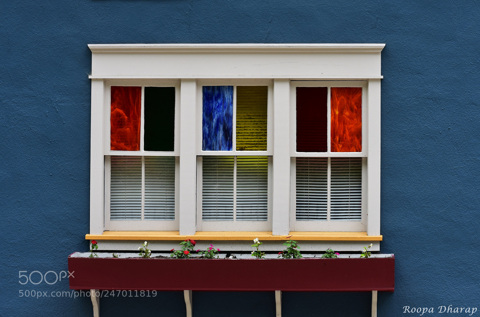 Nikon D3400 sample photo. A view with colors photography