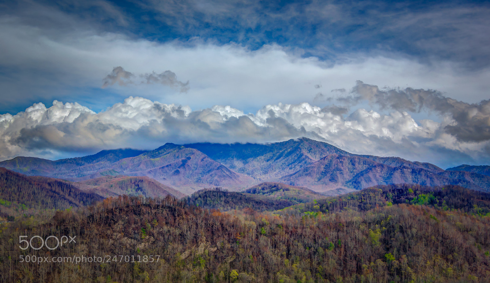 Nikon D5200 sample photo. Great smoky mountain photography