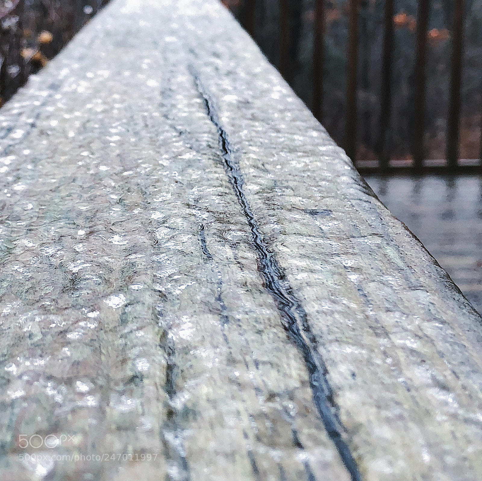 Apple iPhone X sample photo. Freezing rain on the photography