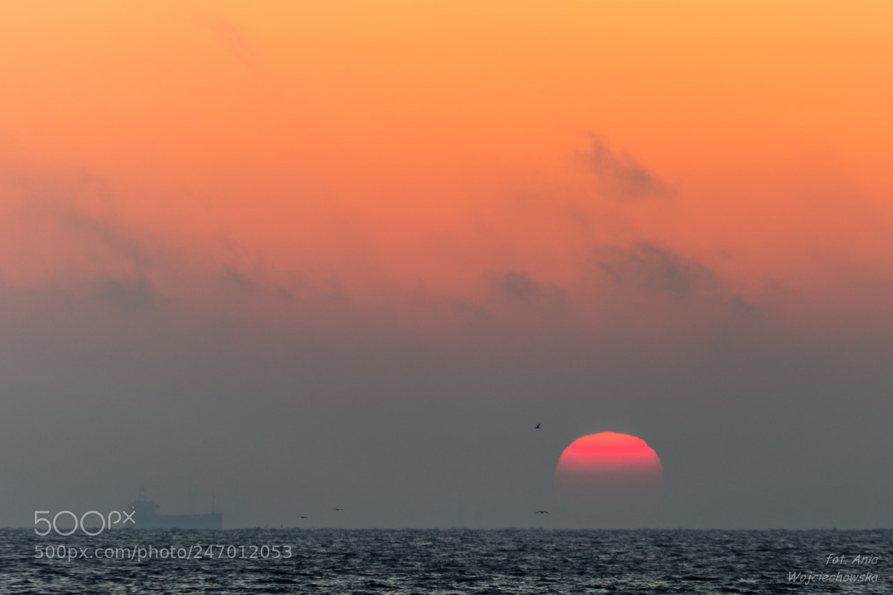 Canon EOS 600D (Rebel EOS T3i / EOS Kiss X5) sample photo. Sunrise in gdynia photography