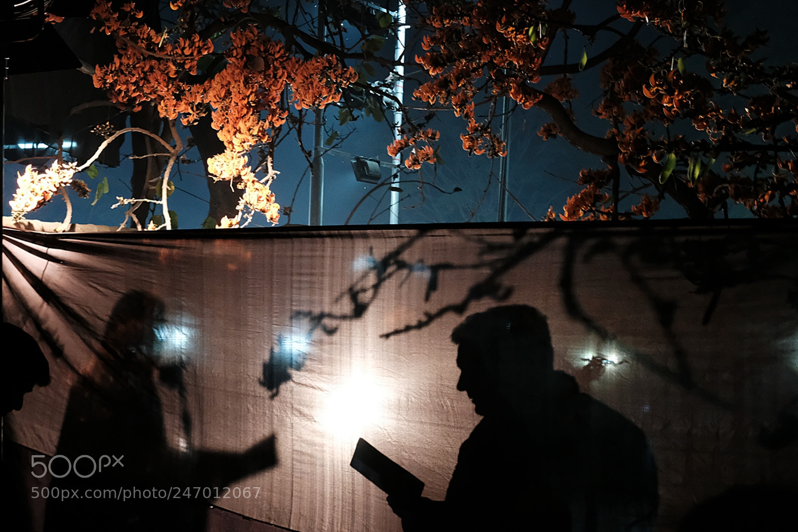 Fujifilm X-T2 sample photo. Shadows of the light photography