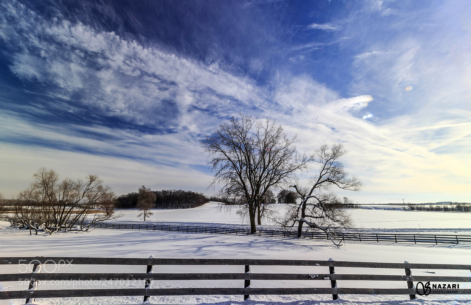Canon EOS 7D Mark II sample photo. Tree farm photography