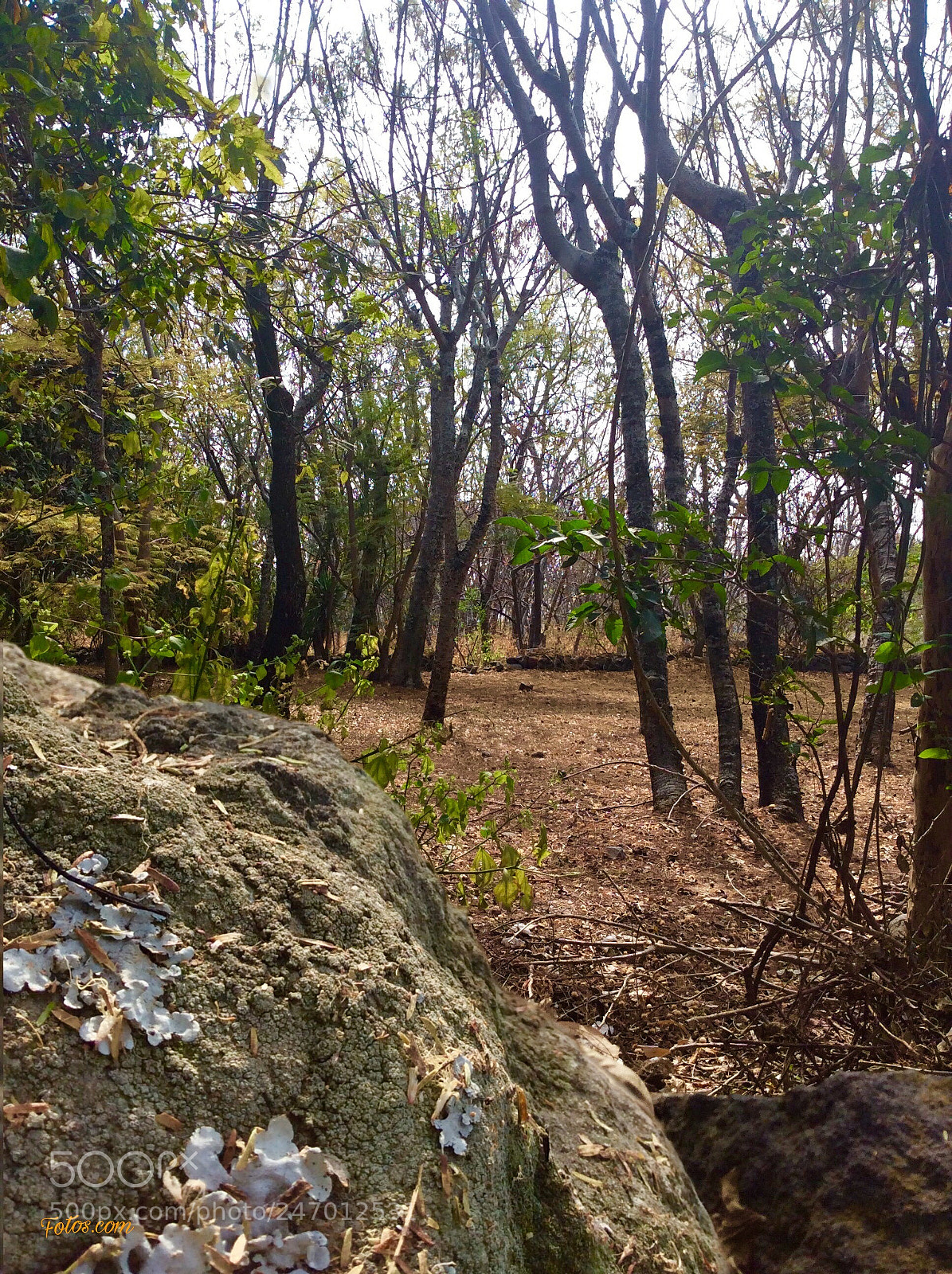 Apple iPad Air sample photo. Untitled photography