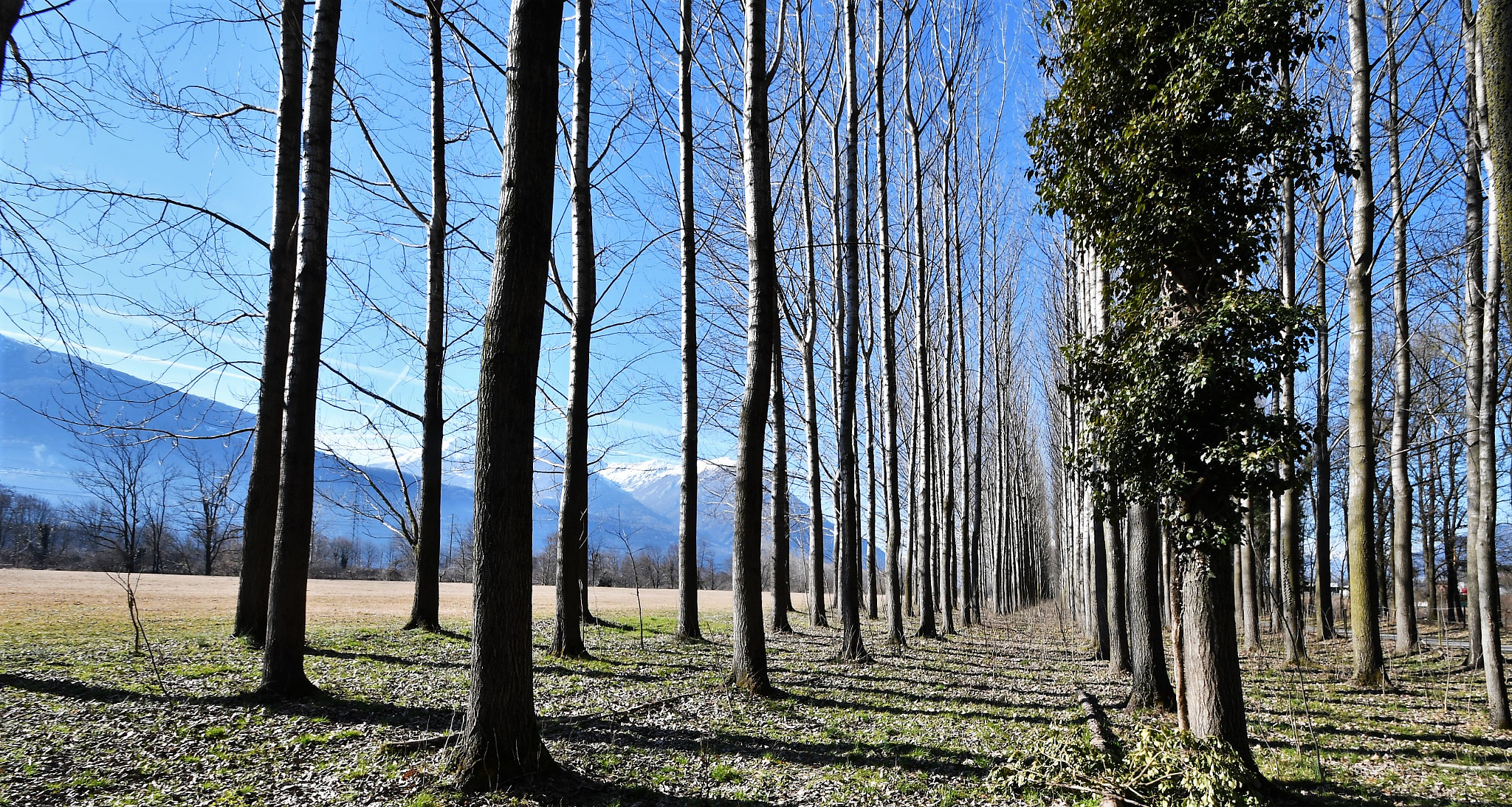 Nikon D500 sample photo. En ligne photography