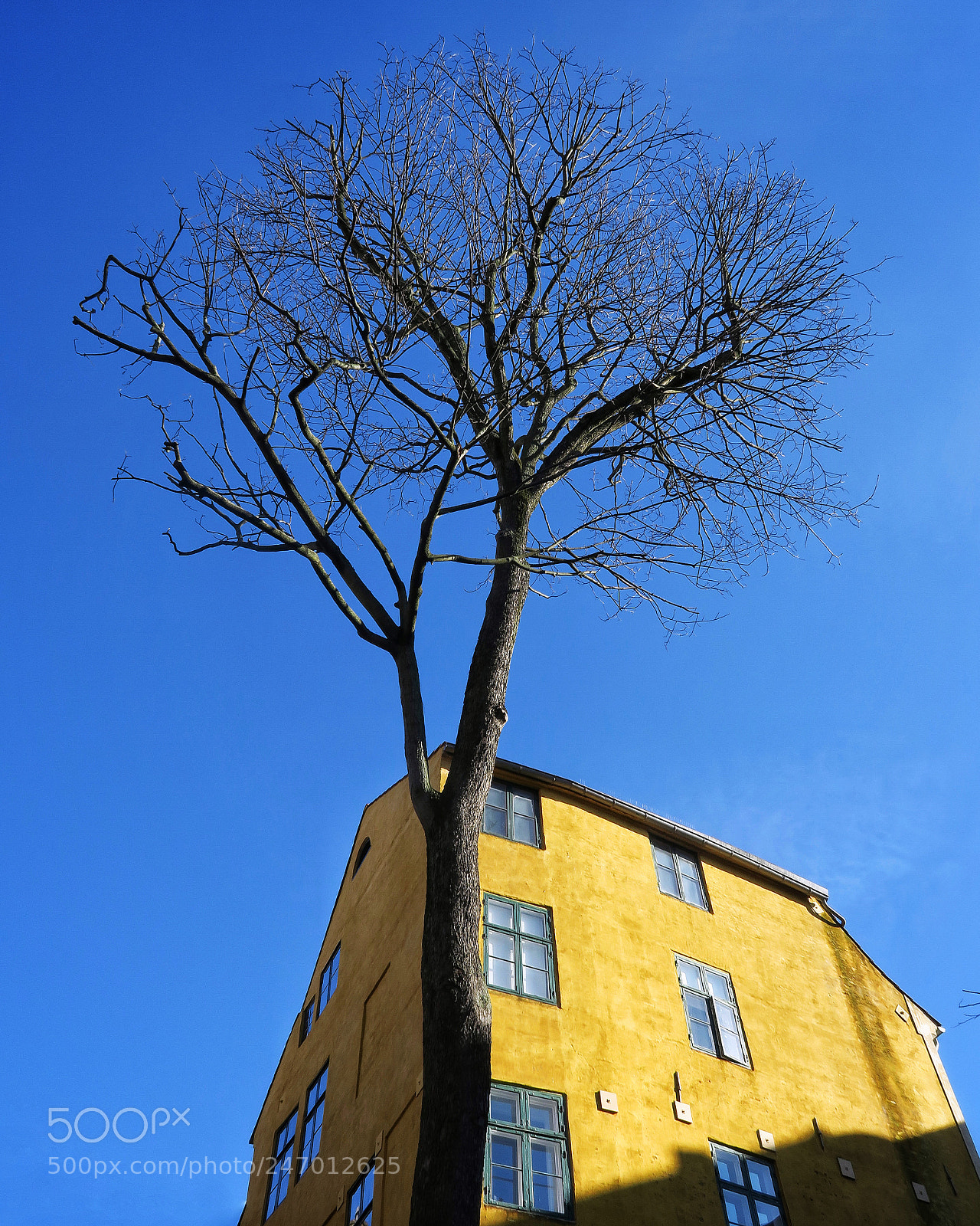 Canon PowerShot G7 X sample photo. Standing tall photography