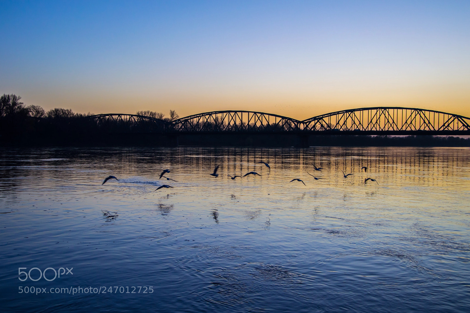Nikon D3200 sample photo. The bridge photography