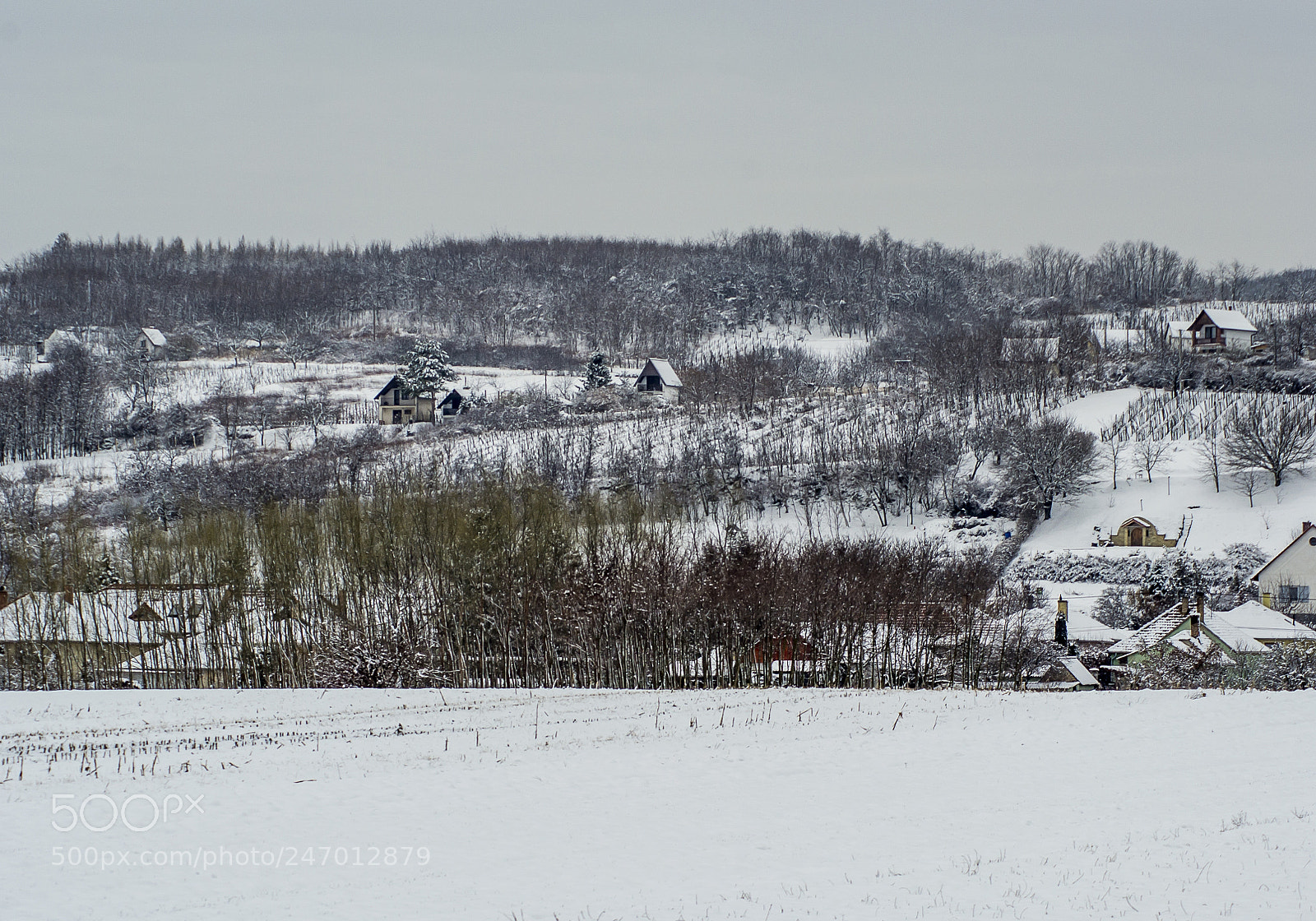 Nikon D3100 sample photo. Tél...winter photography