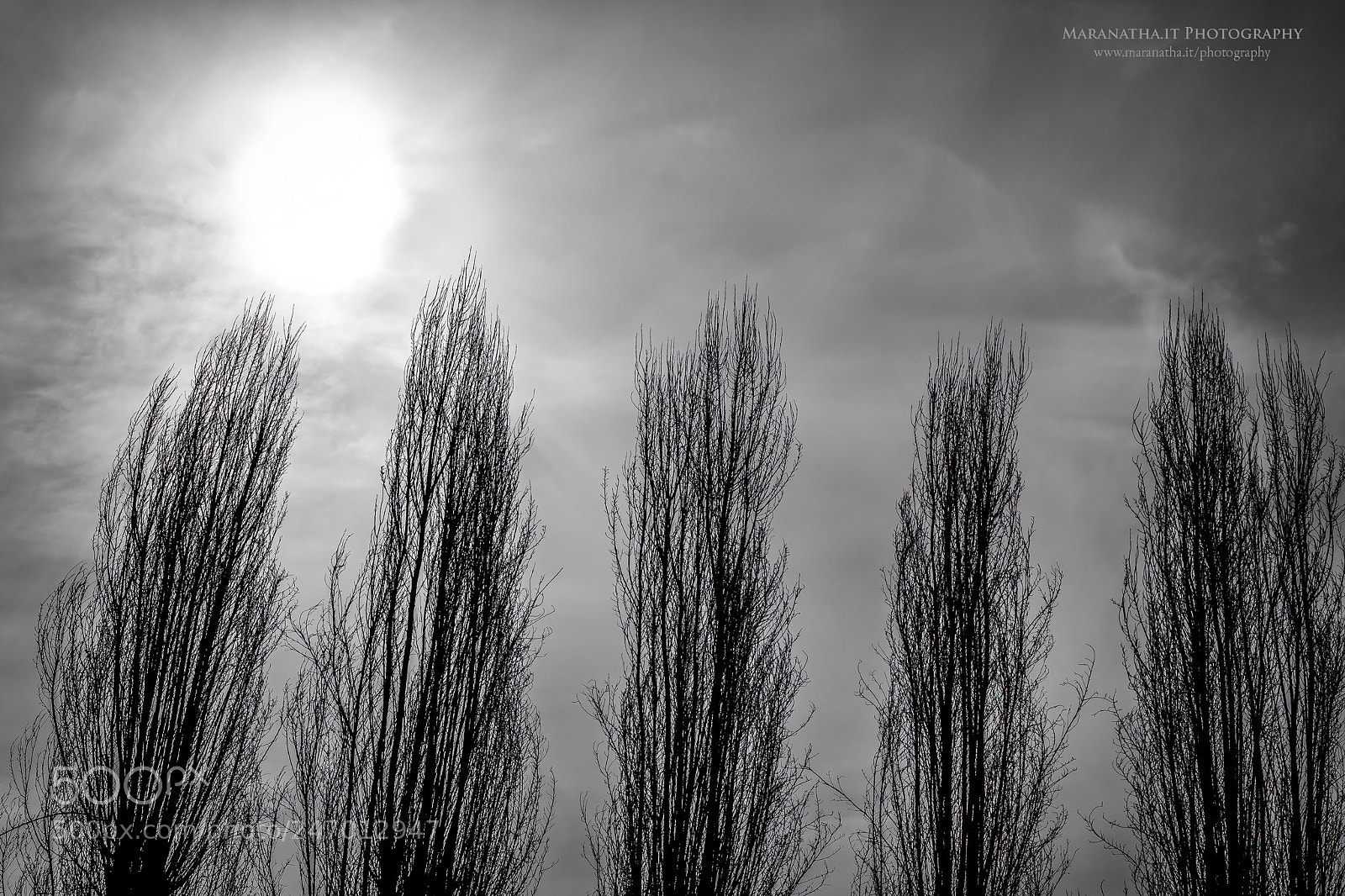 Canon EOS 6D Mark II sample photo. North wind blowing photography