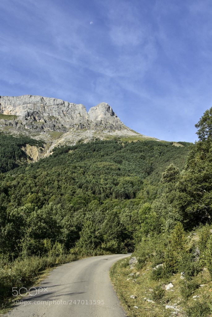 Nikon D7200 sample photo. Carretera photography