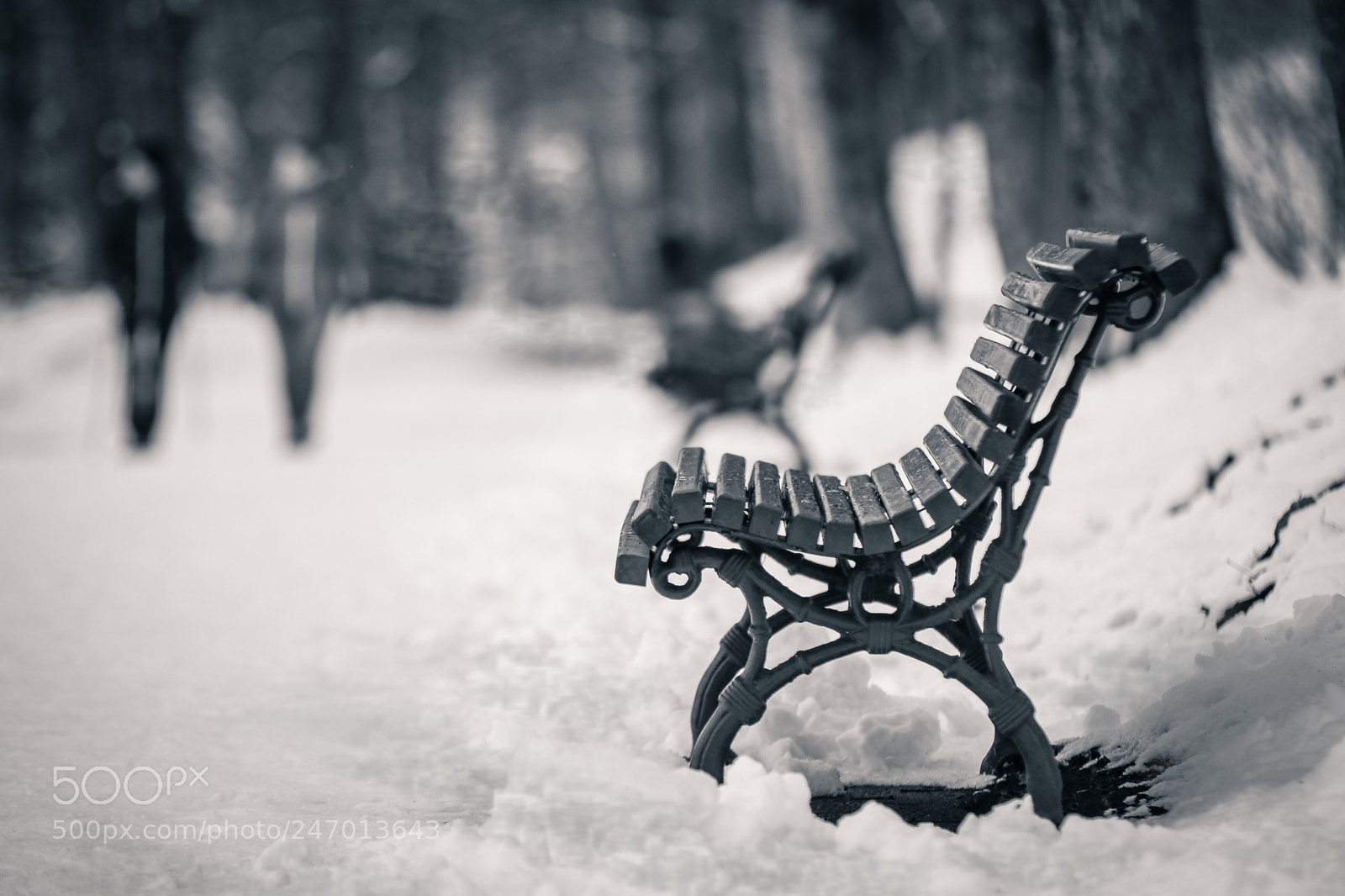 Canon EOS 7D Mark II sample photo. The path photography