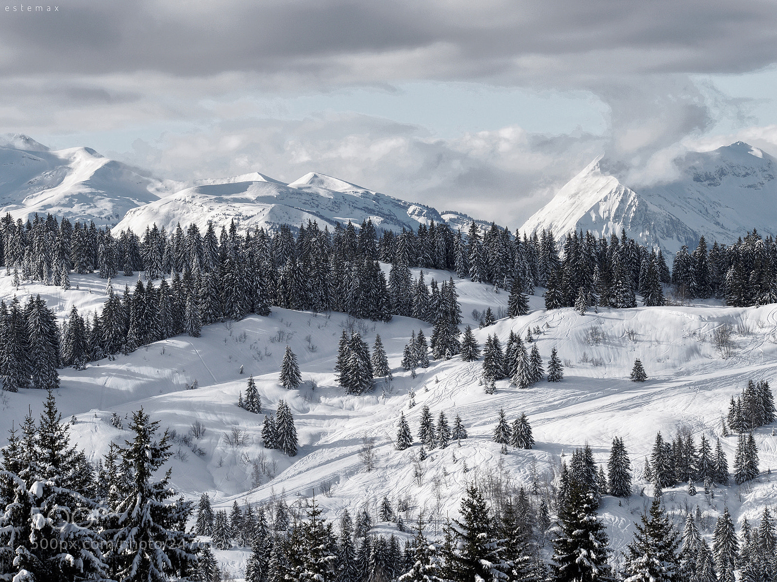 Olympus OM-D E-M1 sample photo. Tout blanc  photography