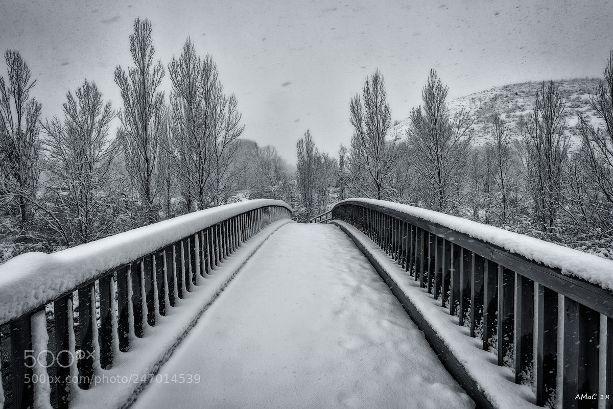 Nikon D600 sample photo. The bridge photography