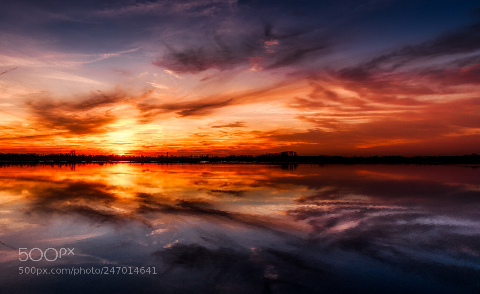 Nikon D850 sample photo. Mirror image photography