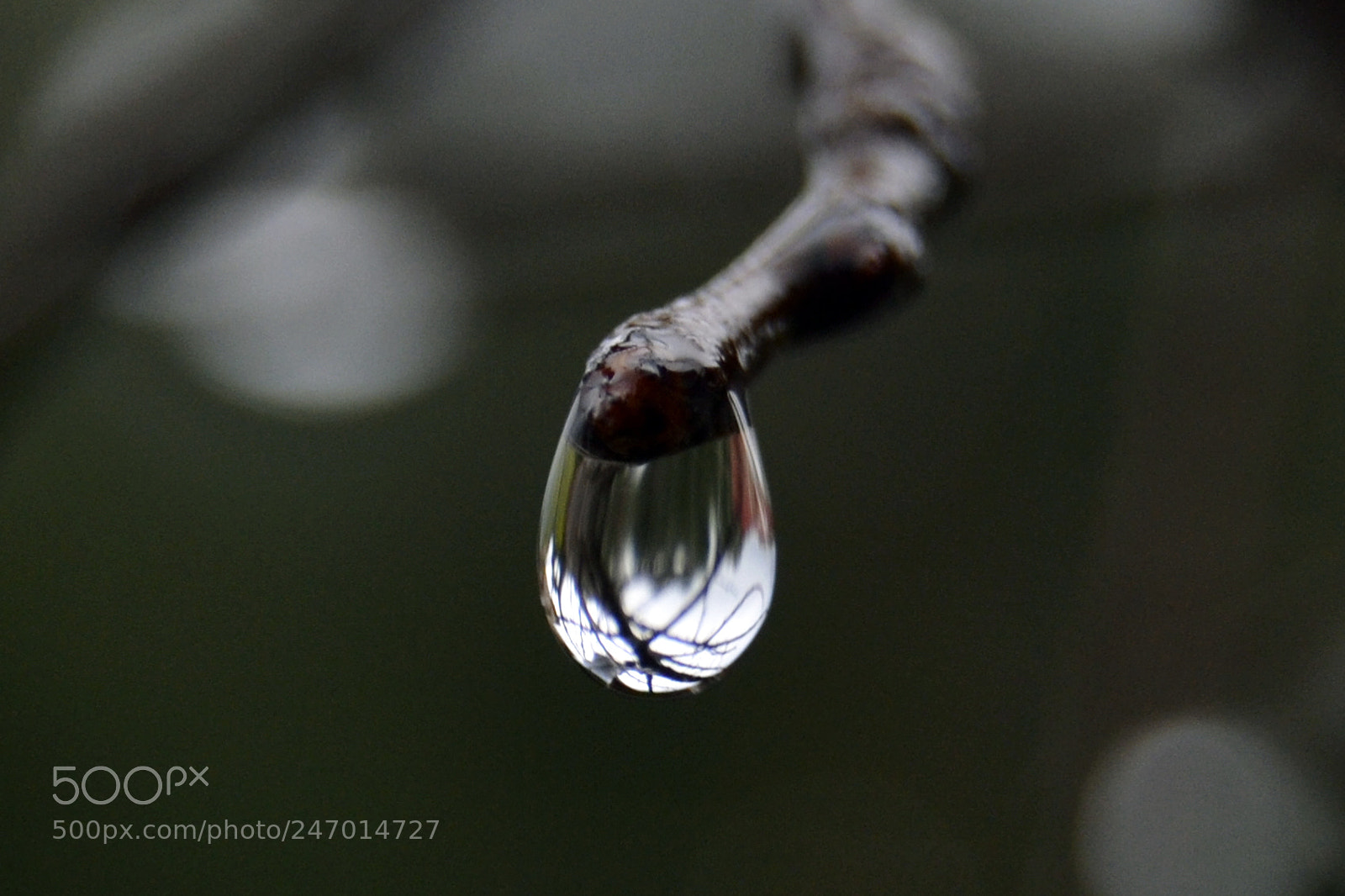 Nikon D3100 sample photo. Drop photography