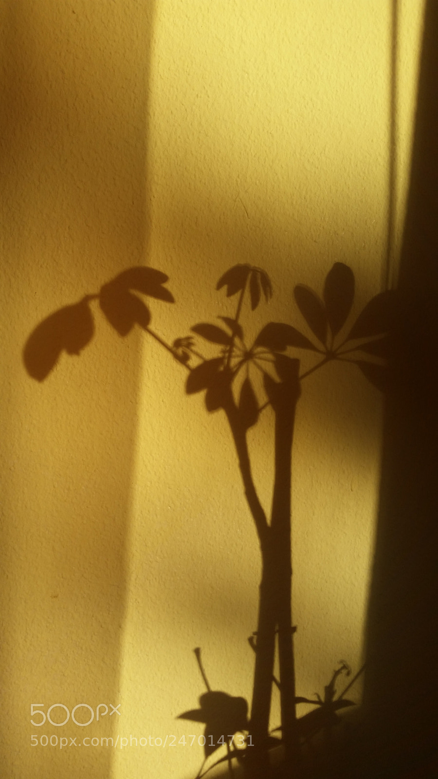 Samsung Galaxy S5 sample photo. Sunray play on the photography