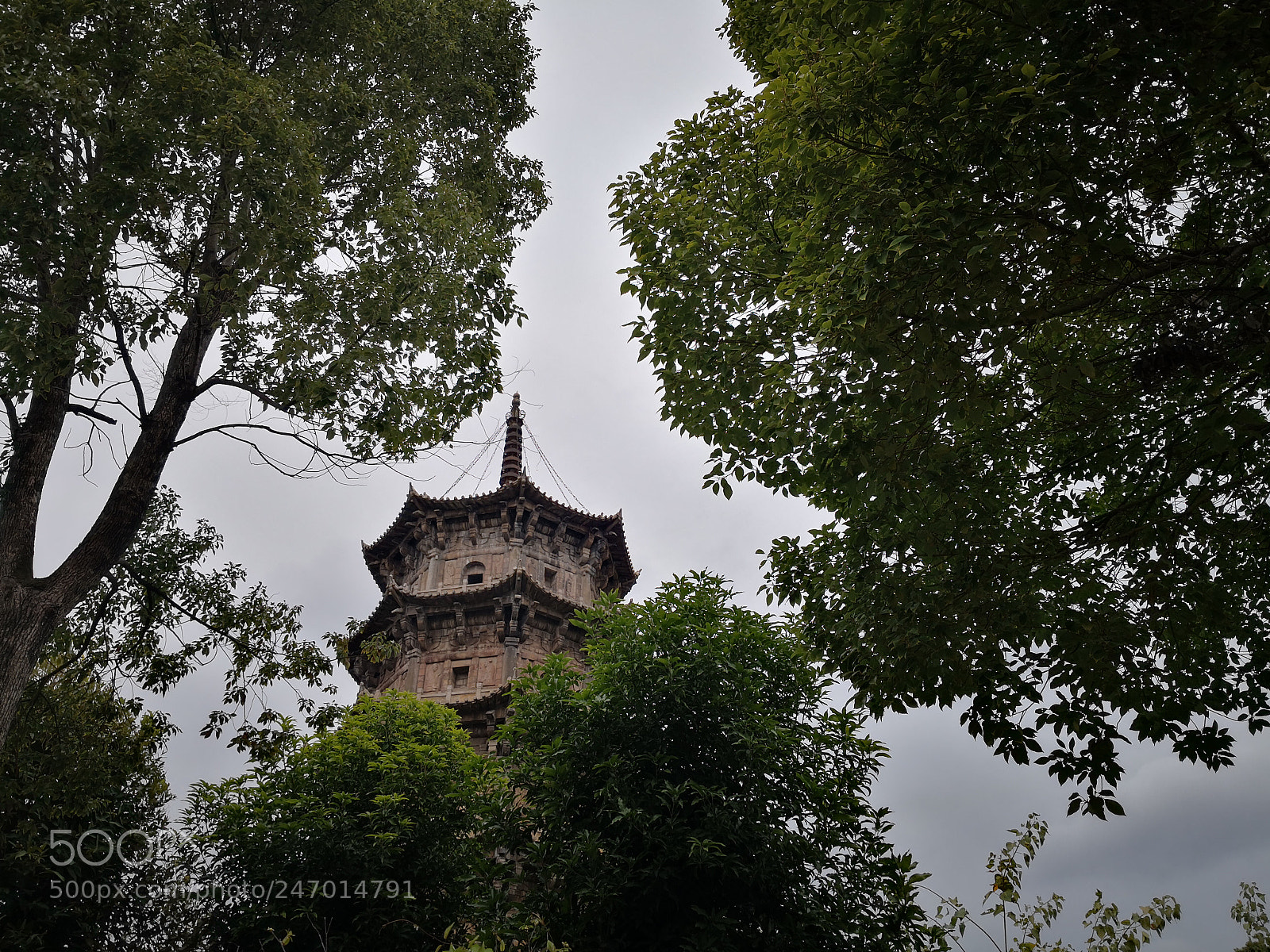 HUAWEI Mate 10 sample photo. Untitled photography