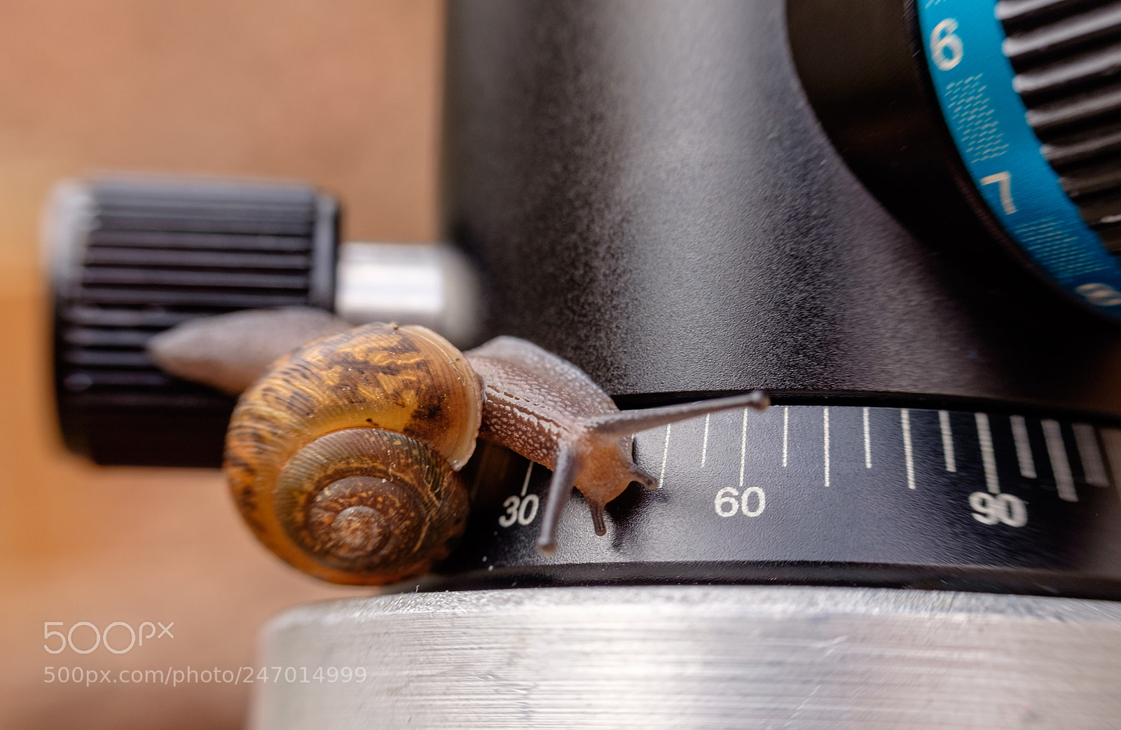 Fujifilm X-E2 sample photo. An interest in photography photography