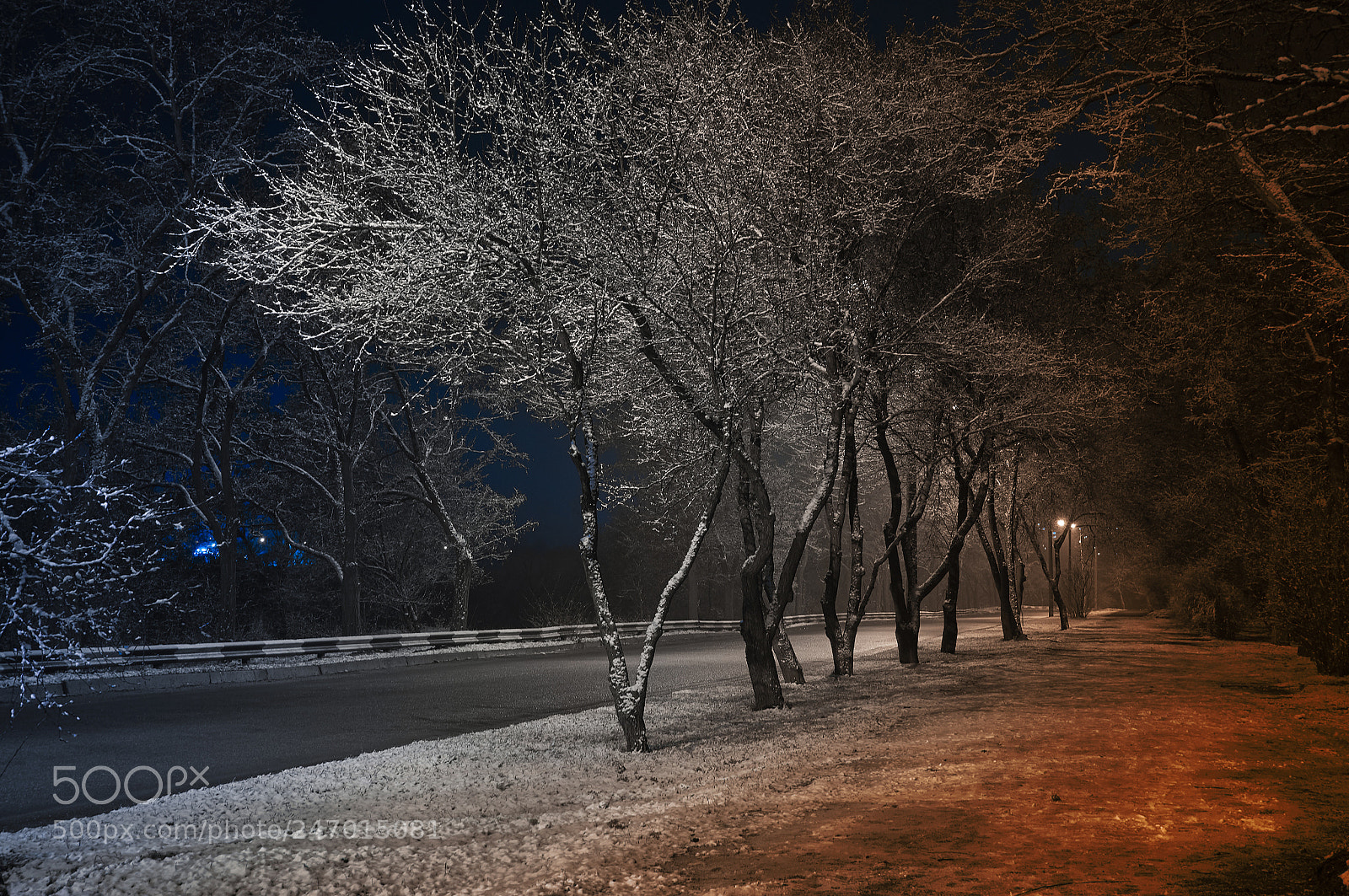 Sony SLT-A57 sample photo. Untitled photography
