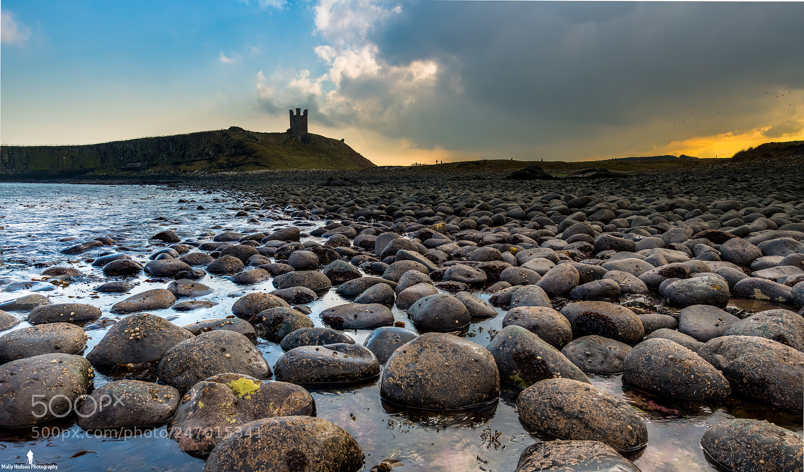Nikon D850 sample photo. Dunstanbrugh castle northumberland uk photography