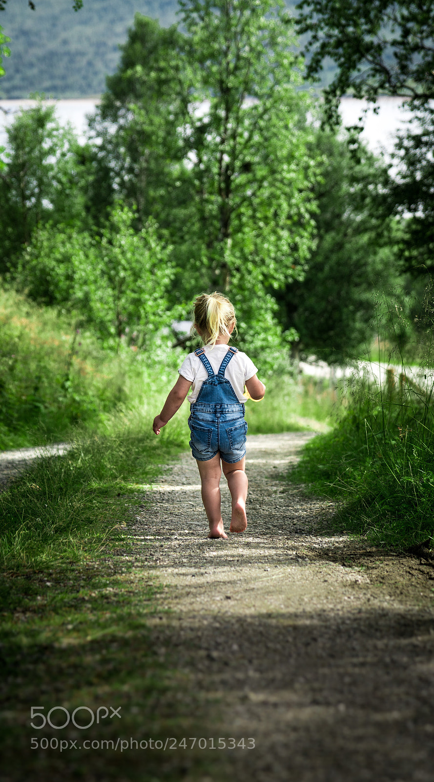 Sony a7R II sample photo. I miss summer photography