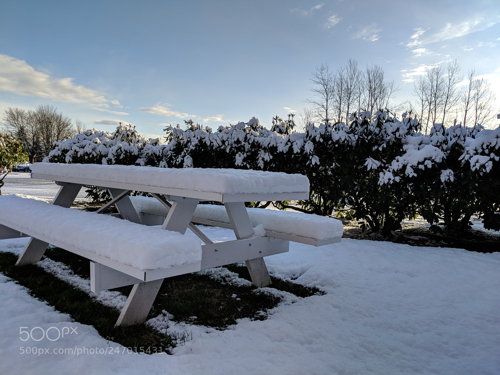 Google Pixel 2 XL sample photo. Winter picnic photography
